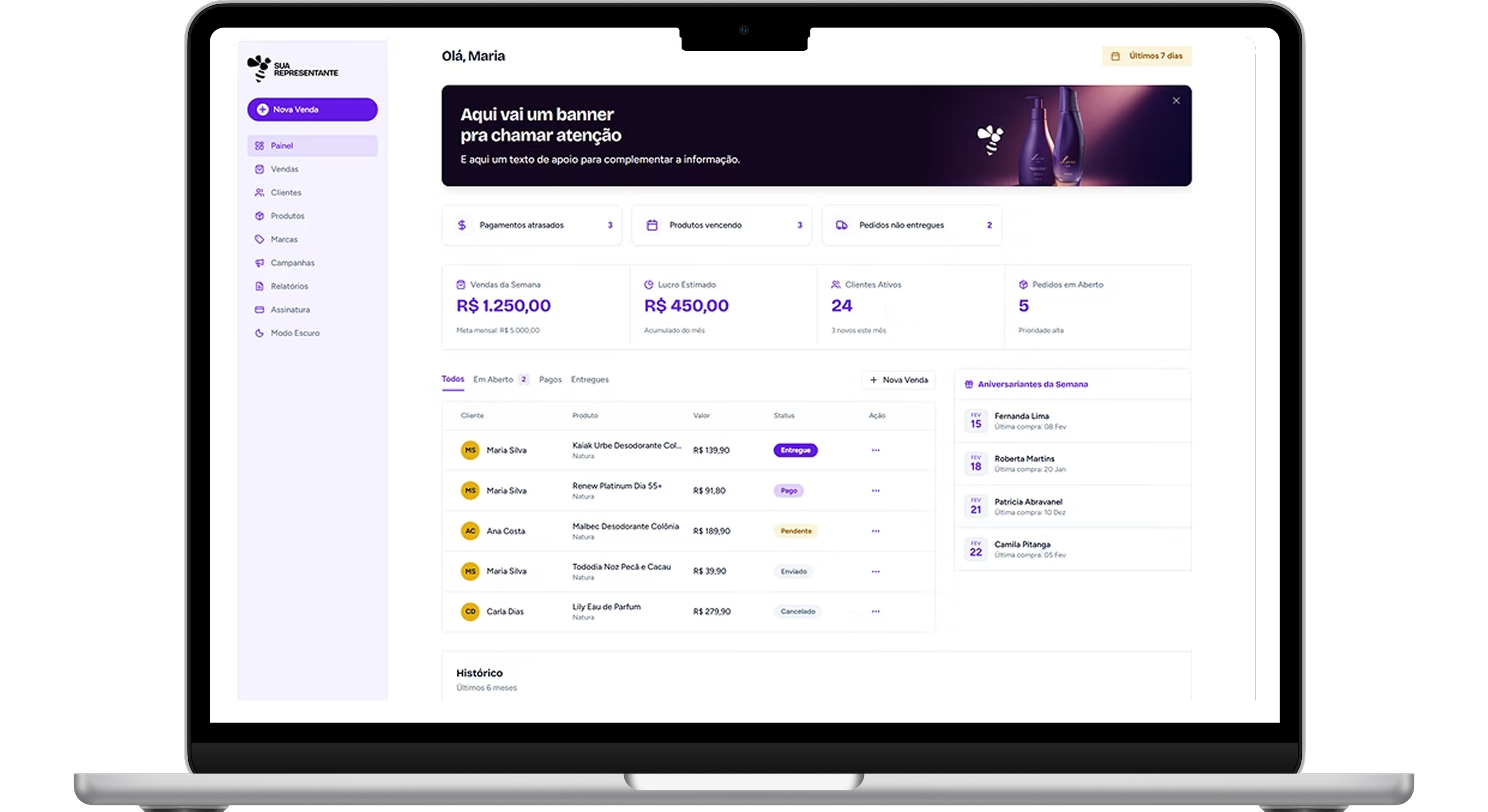 Mockup do Sistema Sua Representante